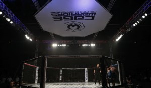 Nikita Hand's Civil Victory: A Landmark Case Against Conor McGregor
